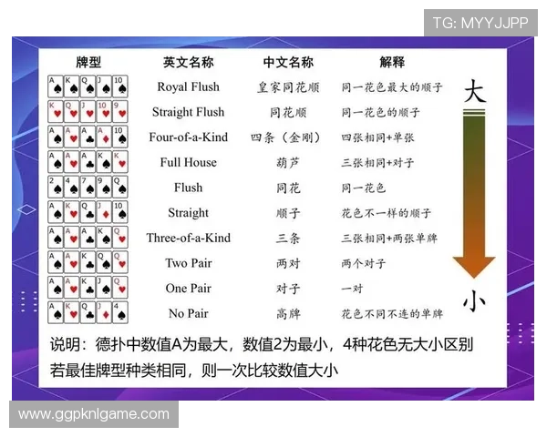 德州扑克百科全书：全面介绍德州扑克的规则与玩法知识